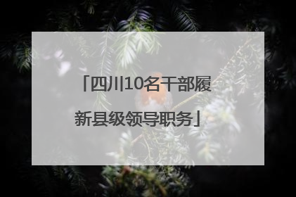 四川10名干部履新县级领导职务
