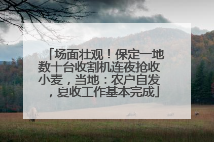 场面壮观！保定一地数十台收割机连夜抢收小麦，当地：农户自发，夏收工作基本完成