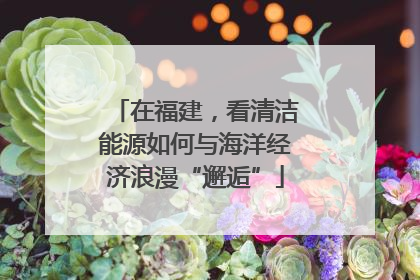 在福建，看清洁能源如何与海洋经济浪漫“邂逅”