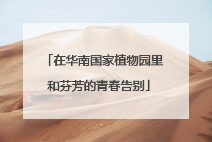 在华南国家植物园里和芬芳的青春告别