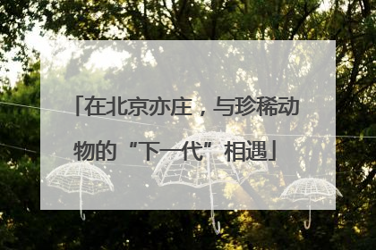 在北京亦庄，与珍稀动物的“下一代”相遇