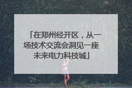 在郑州经开区，从一场技术交流会洞见一座未来电力科技城