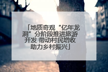 地质奇观“亿年龙洞”分阶段推进旅游开发 带动村民增收助力乡村振兴