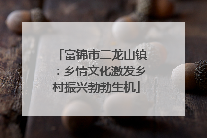 富锦市二龙山镇：乡情文化激发乡村振兴勃勃生机