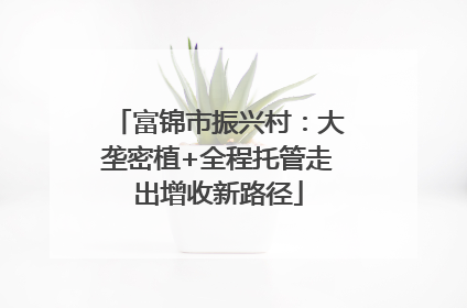富锦市振兴村：大垄密植+全程托管走出增收新路径