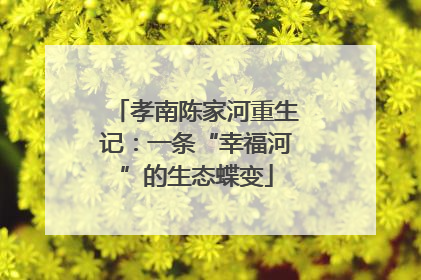 孝南陈家河重生记：一条“幸福河”的生态蝶变