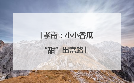 孝南：小小香瓜 “甜”出富路