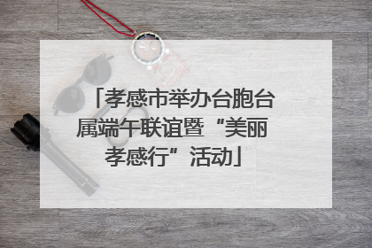 孝感市举办台胞台属端午联谊暨“美丽孝感行”活动