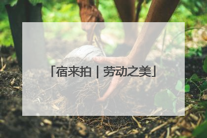 宿来拍｜劳动之美