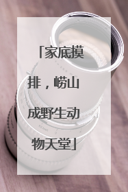 家底摸排，崂山成野生动物天堂