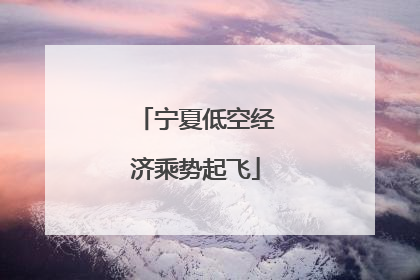 宁夏低空经济乘势起飞