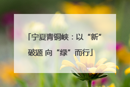 宁夏青铜峡：以“新”破题 向“绿”而行