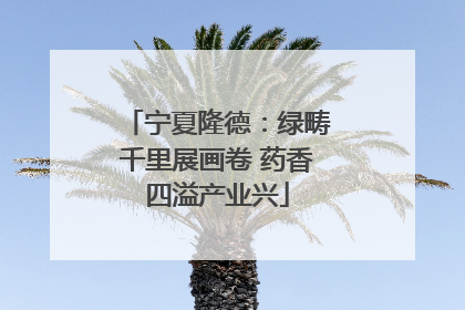 宁夏隆德：绿畴千里展画卷 药香四溢产业兴
