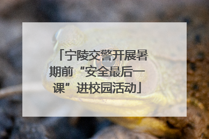宁陵交警开展暑期前“安全最后一课”进校园活动