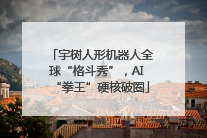 宇树人形机器人全球“格斗秀”，AI“拳王”硬核破圈