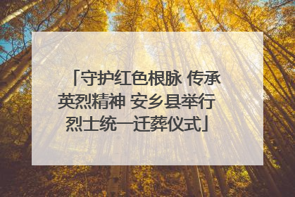 守护红色根脉 传承英烈精神 安乡县举行烈士统一迁葬仪式