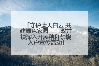 守护蓝天白云 共建绿色家园——双井镇深入开展秸秆禁烧入户宣传活动