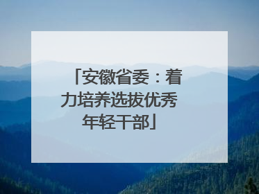 安徽省委：着力培养选拔优秀年轻干部