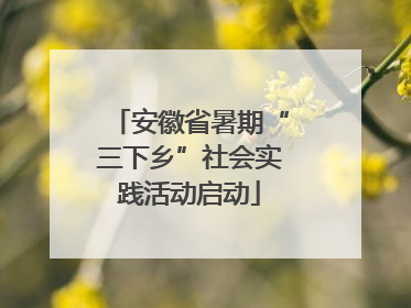 安徽省暑期“三下乡”社会实践活动启动
