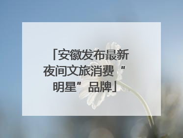 安徽发布最新夜间文旅消费“明星”品牌