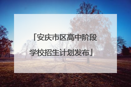 安庆市区高中阶段学校招生计划发布