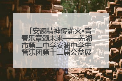 安澜精神传薪火•青春乐章颂未来——芜湖市第二中学安澜中学生管乐团第十二届公益展演圆满举行