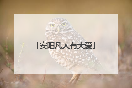 安阳凡人有大爱