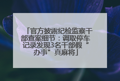 官方披露纪检监察干部查案细节：调取停车记录发现3名干部假“办事”真麻将