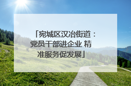宛城区汉冶街道：党员干部进企业 精准服务促发展