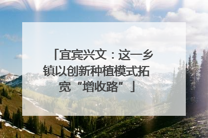 宜宾兴文：这一乡镇以创新种植模式拓宽“增收路”