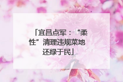 宜昌点军：“柔性”清理违规菜地 还绿于民