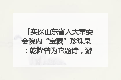 实探山东省人大常委会院内“宝藏”珍珠泉：乾隆曾为它题诗，游客无需预约免费游览