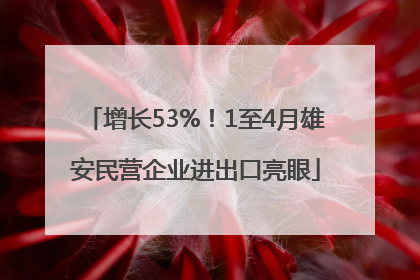 增长53%！1至4月雄安民营企业进出口亮眼