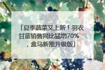 夏季蔬菜又上新！羽衣甘蓝销售同比猛增70%，盒马新推升级版