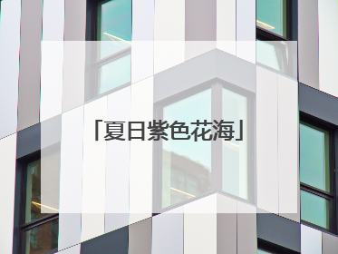 夏日紫色花海