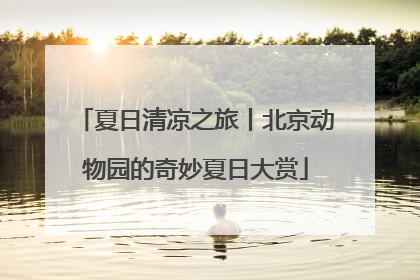 夏日清凉之旅丨北京动物园的奇妙夏日大赏