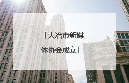 大冶市新媒体协会成立