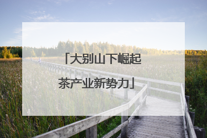 大别山下崛起茶产业新势力