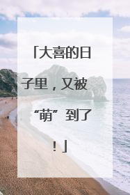 大喜的日子里，又被“萌”到了！