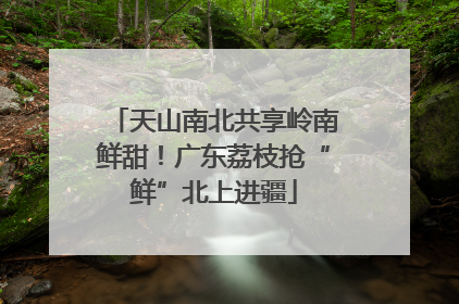 天山南北共享岭南鲜甜！广东荔枝抢“鲜”北上进疆