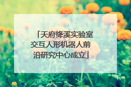 天府绛溪实验室交互人形机器人前沿研究中心成立