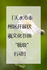 天水市秦州区开展伏羲文化节前 “梳妆”行动