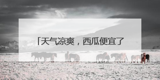 天气凉爽，西瓜便宜了！有水果店的价格近乎打对折，“小个子”的特小凤、小糖丸更好卖