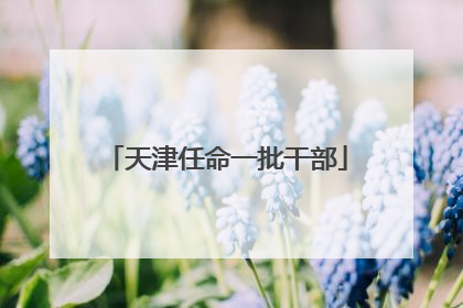 天津任命一批干部
