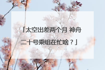 太空出差两个月 神舟二十号乘组在忙啥？
