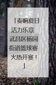 奏响夏日活力乐章 武昌区杨园街道篮球赛火热开赛！