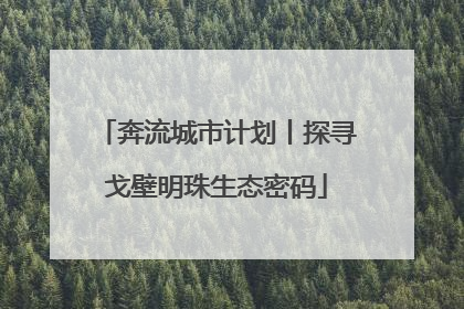 奔流城市计划丨探寻戈壁明珠生态密码