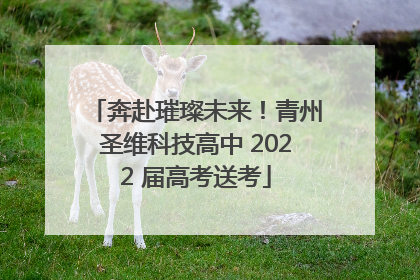 奔赴璀璨未来！青州圣维科技高中 2022 届高考送考
