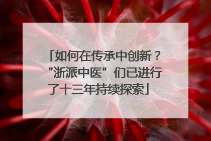 如何在传承中创新？“浙派中医”们已进行了十三年持续探索