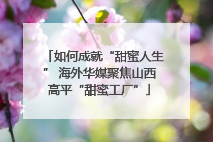 如何成就“甜蜜人生” 海外华媒聚焦山西高平“甜蜜工厂”